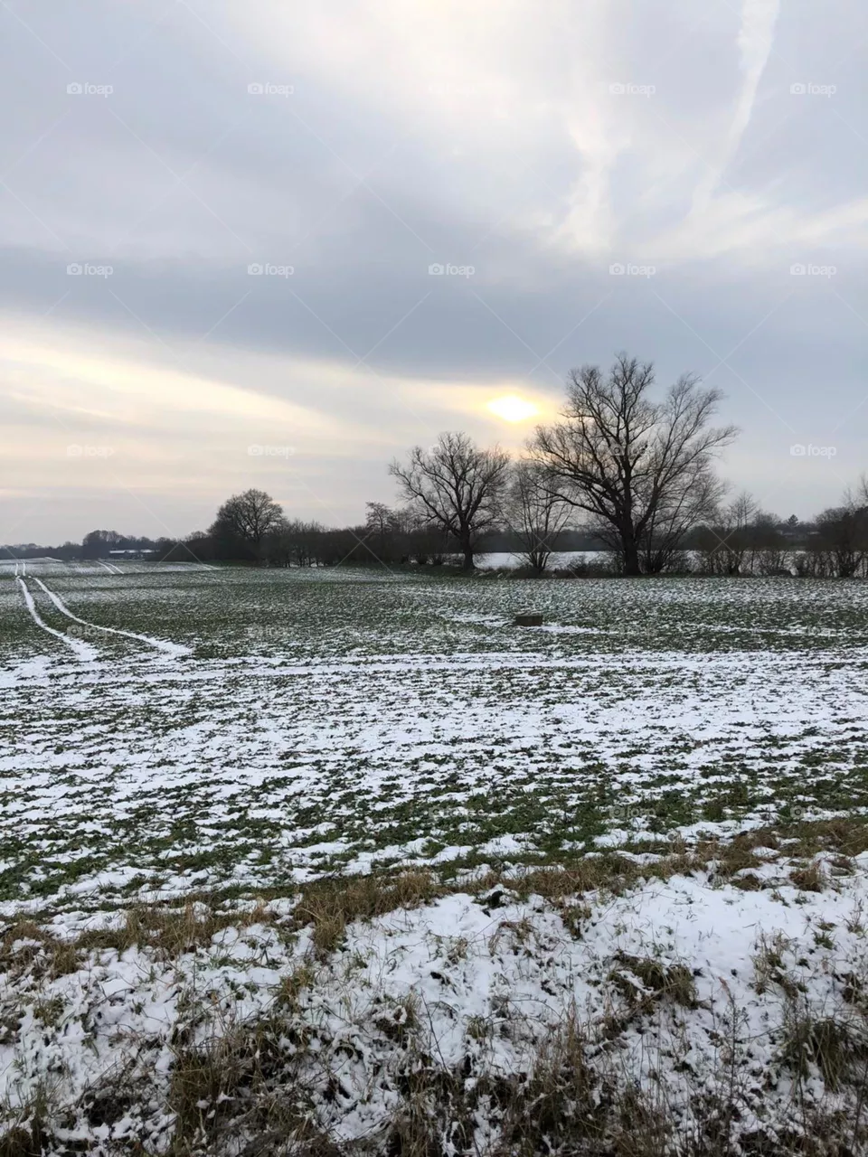 fields in winter
