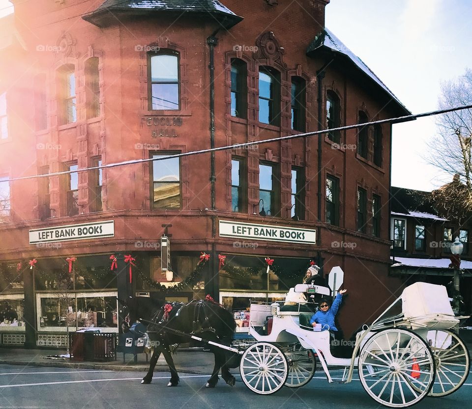 Horse and carriage ride from a to b