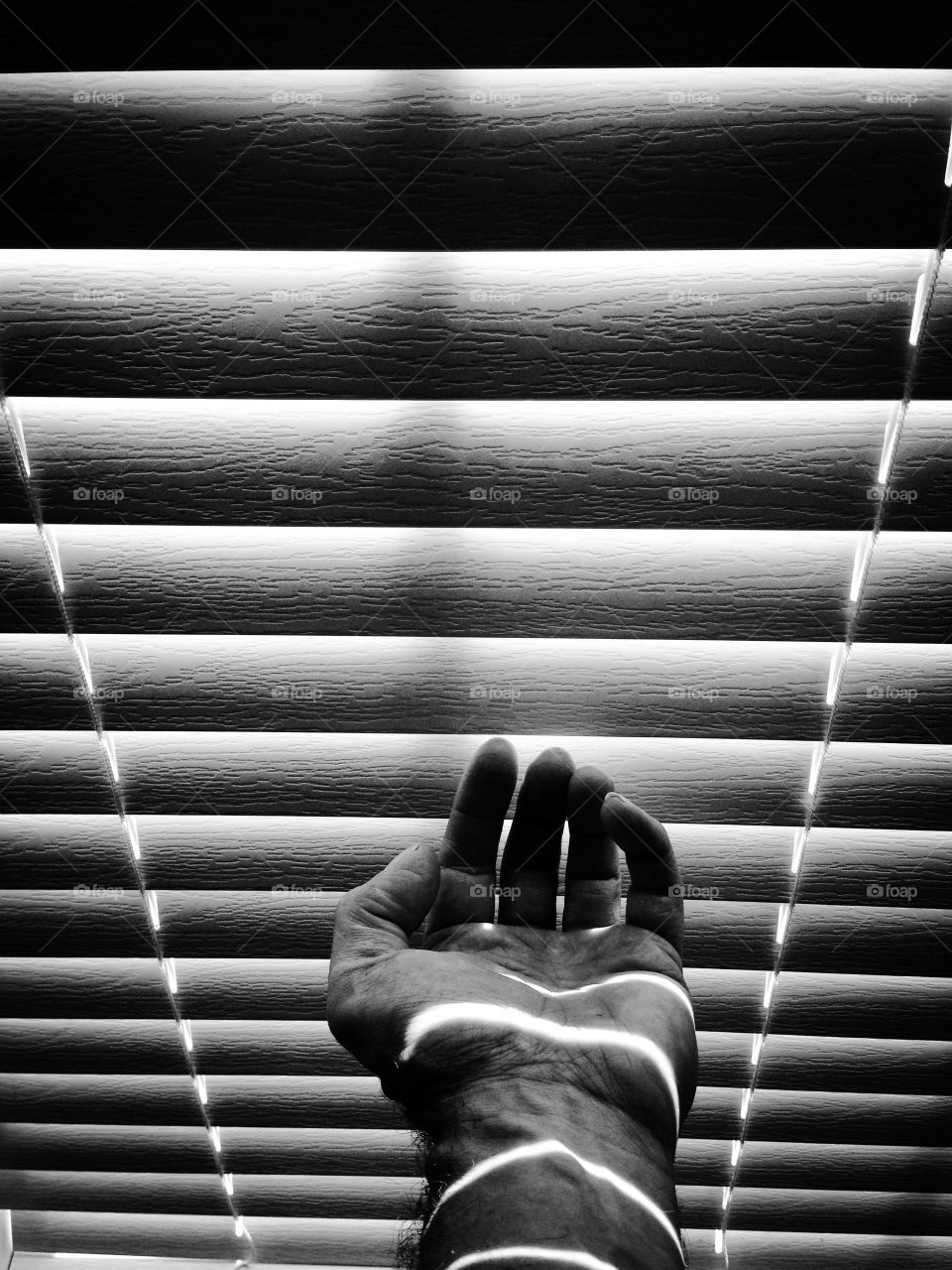 Window blind 