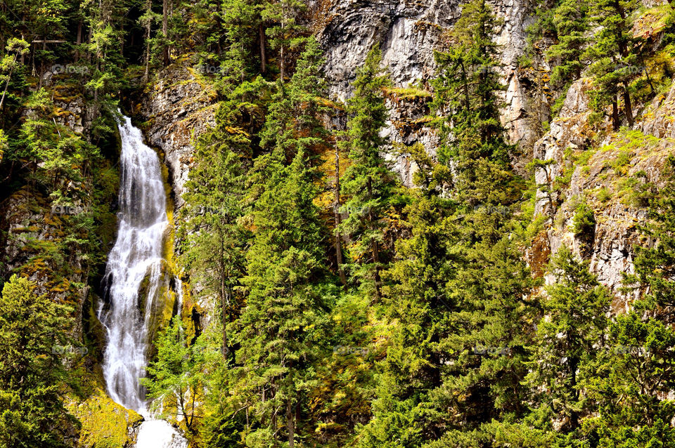 mountain tree trees water by refocusphoto