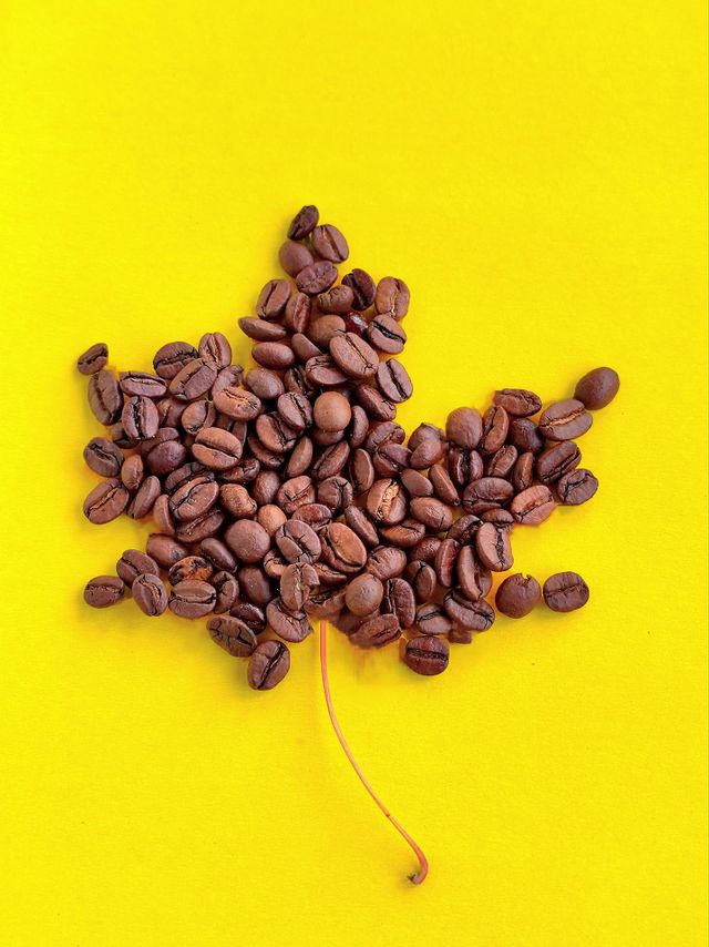 Yellow.  Coffee beans in the shape of a maple leaf lie on a yellow background.