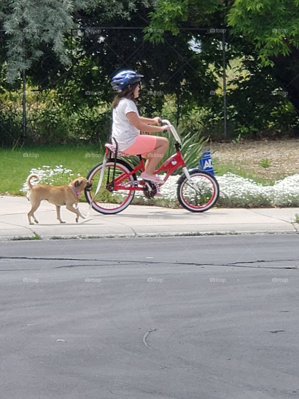 staying in shape biking with dog