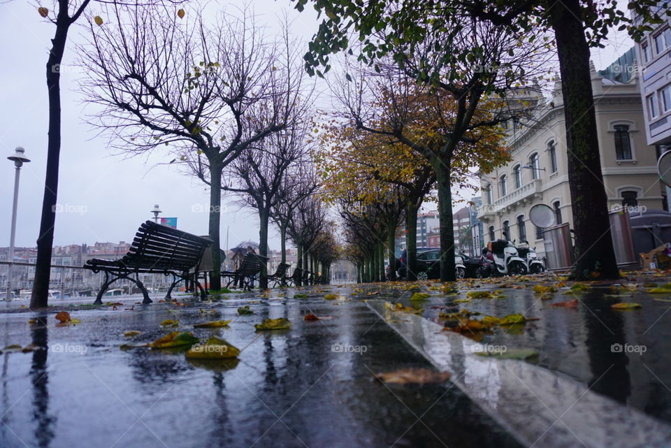 Park#trees#rain#walk#autumn#cars#leaves