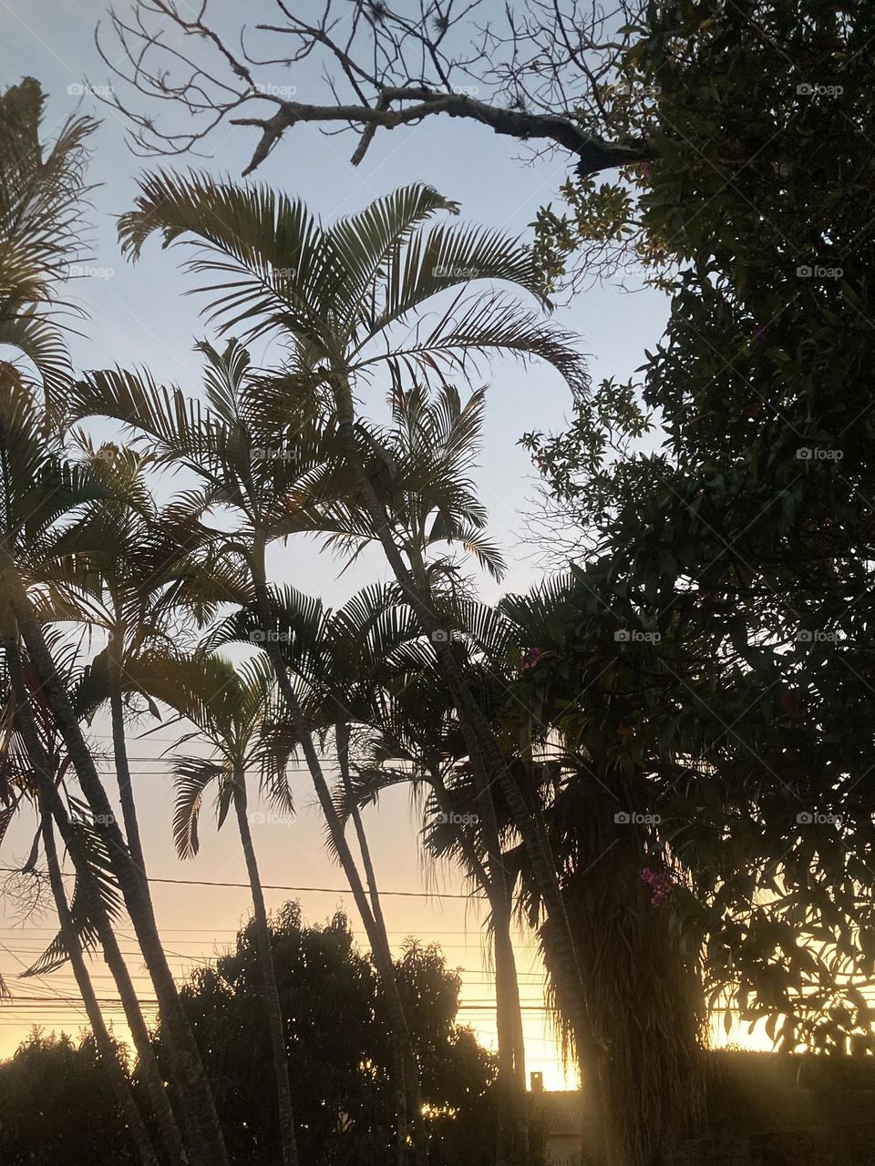 🌄🇺🇸 An extremely beautiful dawn in Jundiaí, interior of Brazil. Cheer the nature! / 🇧🇷 Um amanhecer extremamente bonito em Jundiaí, interior do Brasil. Viva a natureza! 