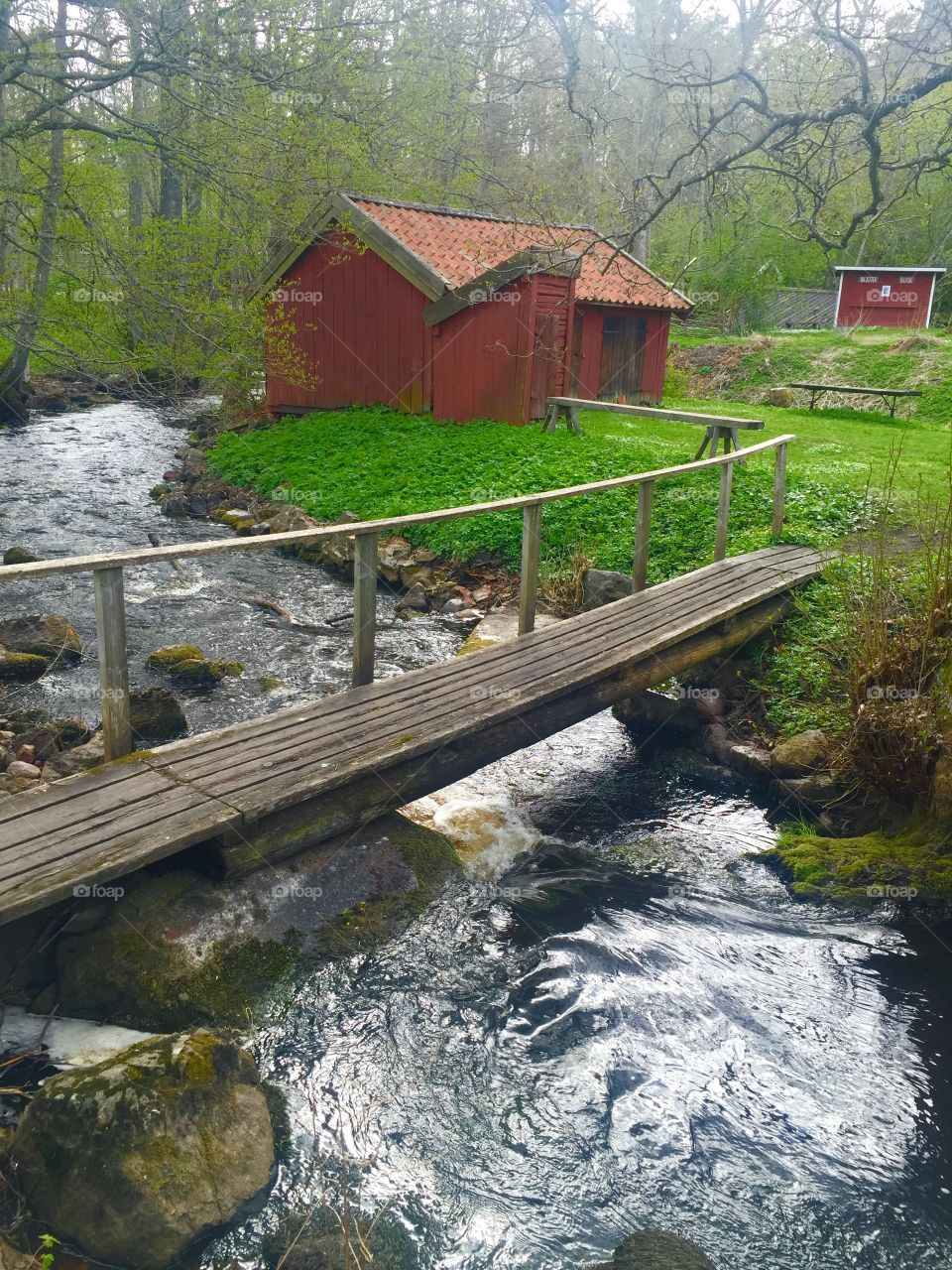 Wirabruk . Nature landscape 