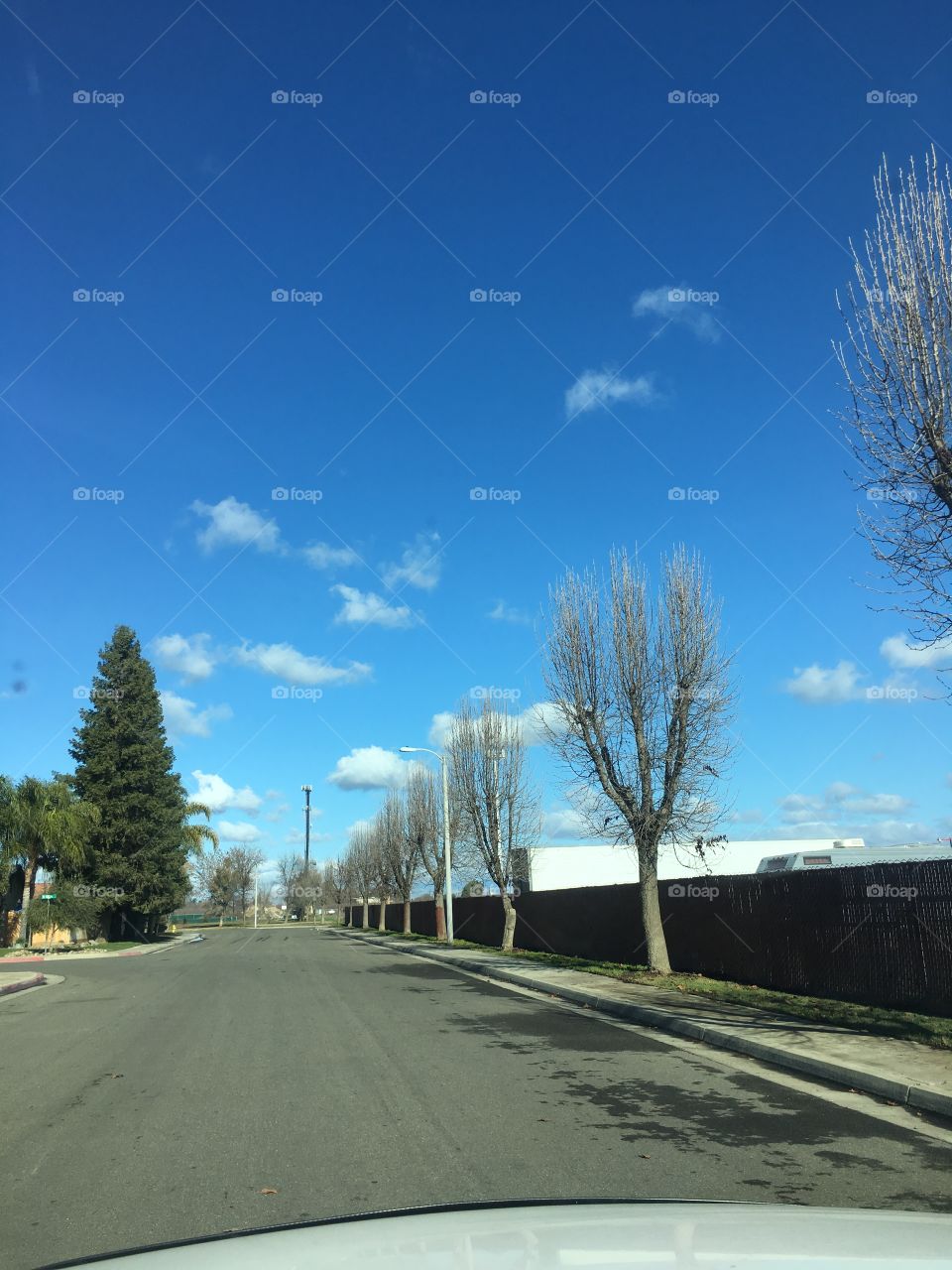 Hundía ermoso con árboles y el cielo azul