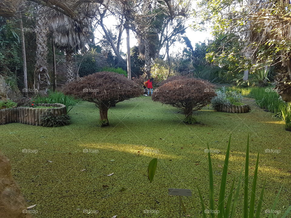 Exotic Garden Morocco