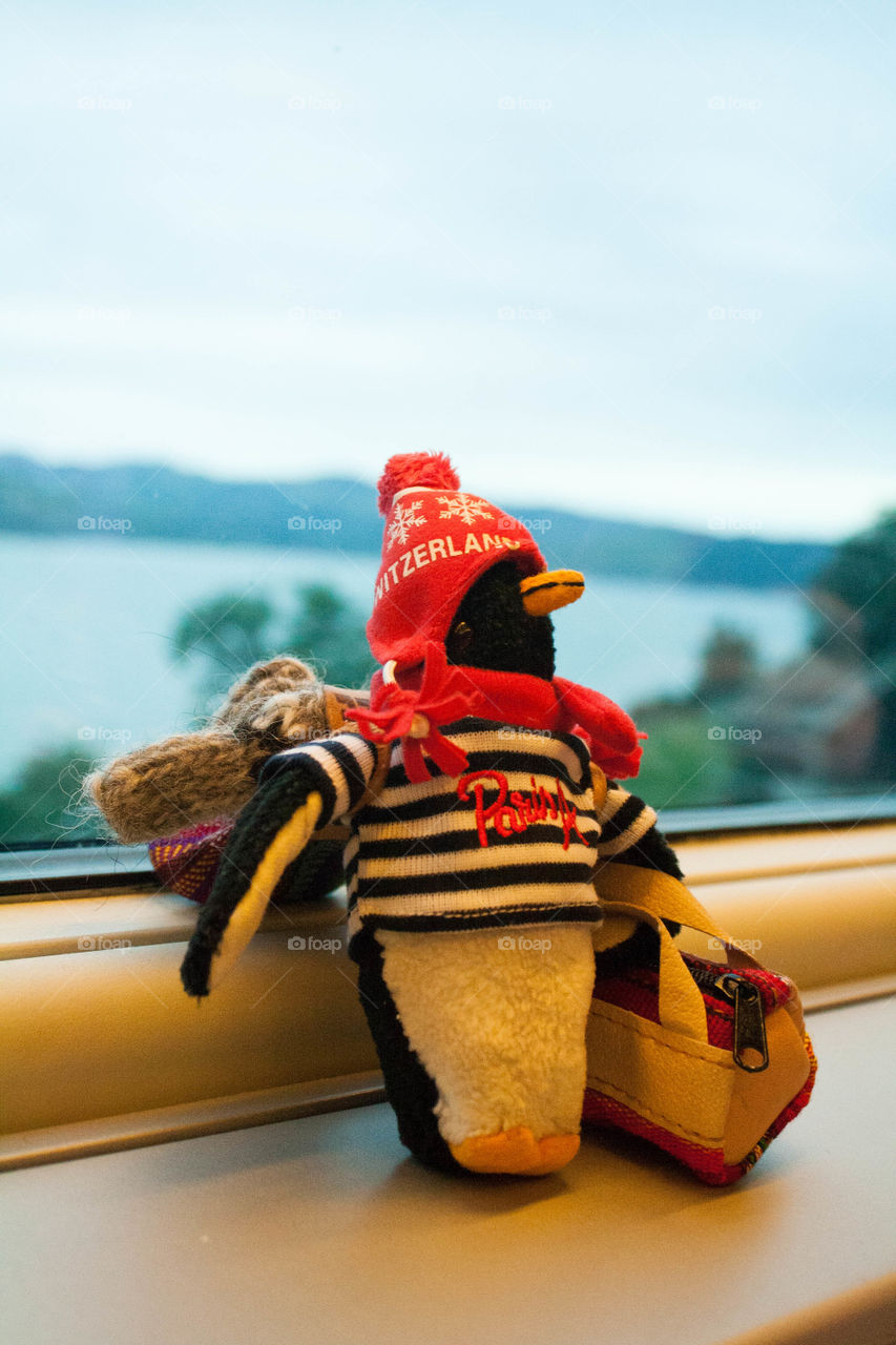Mr. Penguin on the train