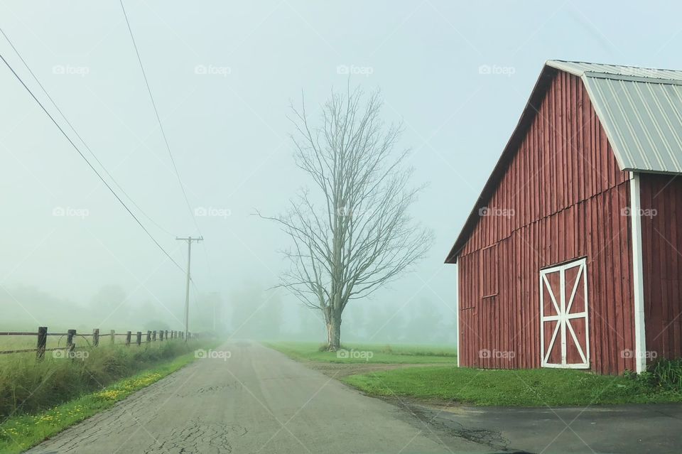 Foggy mornings on the way to work. 