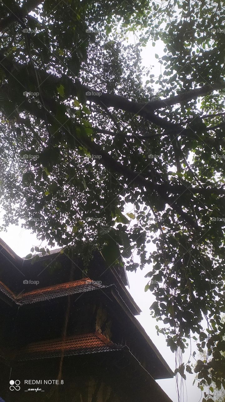 Side view of the infamous Sri Vadakkunathan Temple, Thrissur, Kerala. The place that hosts the world's largest pooram.
