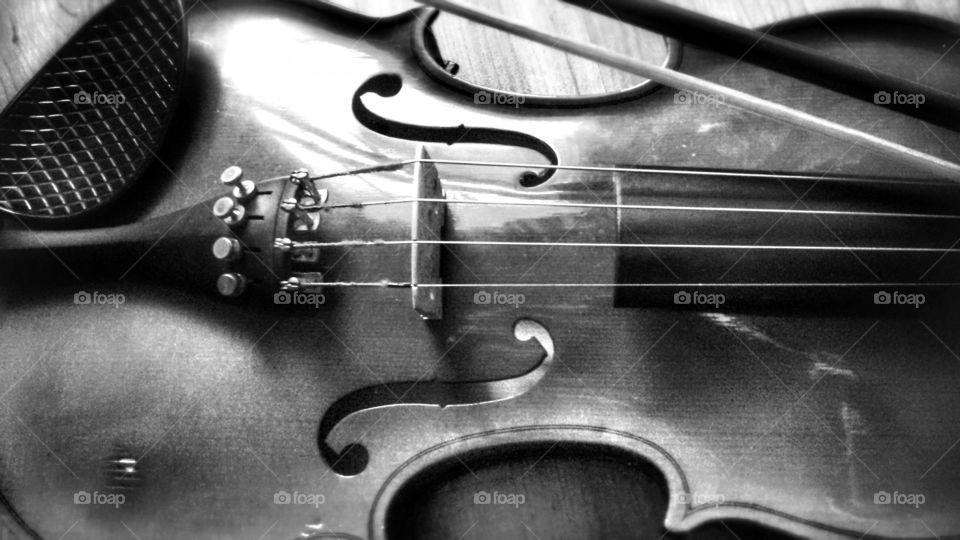 The Violin 