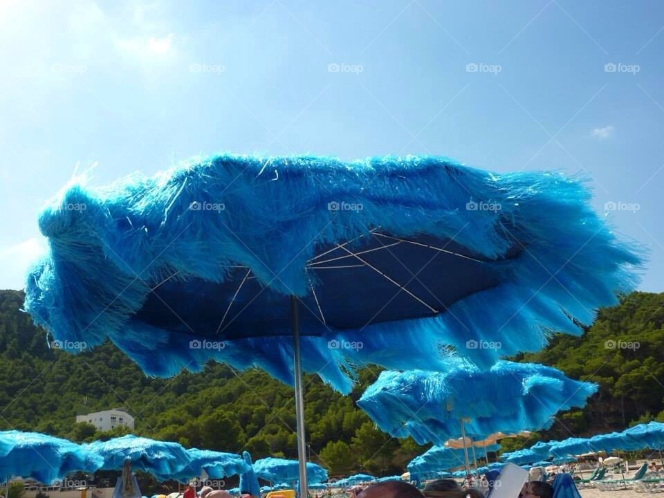 Windy beach day