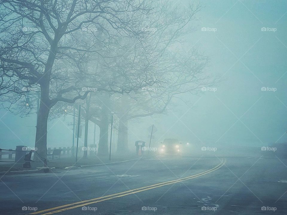 Foggy morning along the seawall 