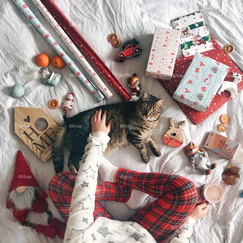 Winter time. Christmas time. Girl with cat