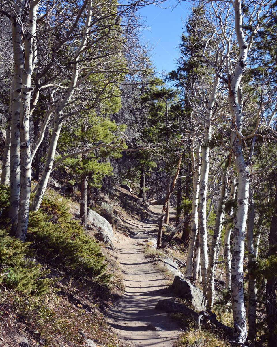 Hiking trail 