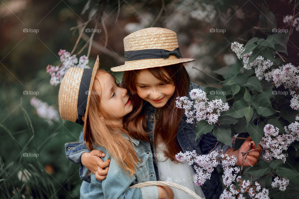 Little sisters in a hat near blossom lilac tree at sunset 