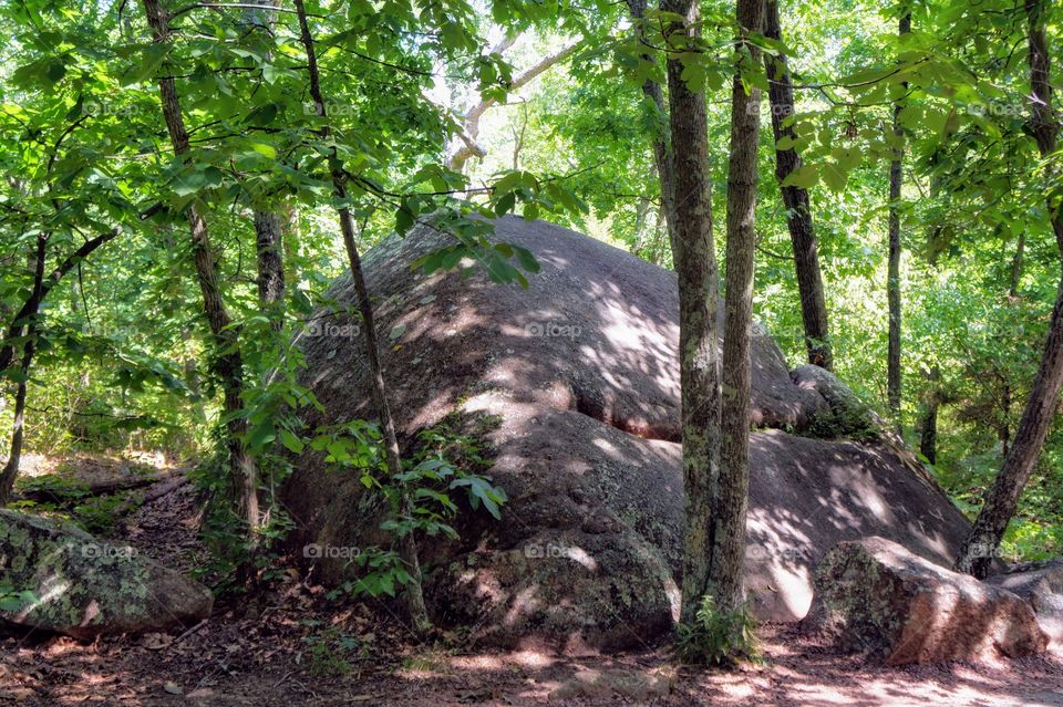 Scenic landscape view