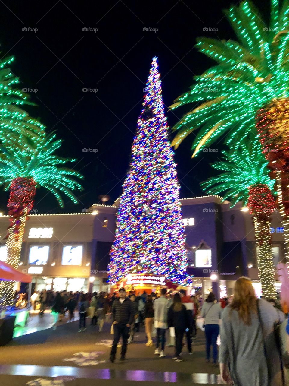 World’s largest Christmas tree with lighted palm trees.