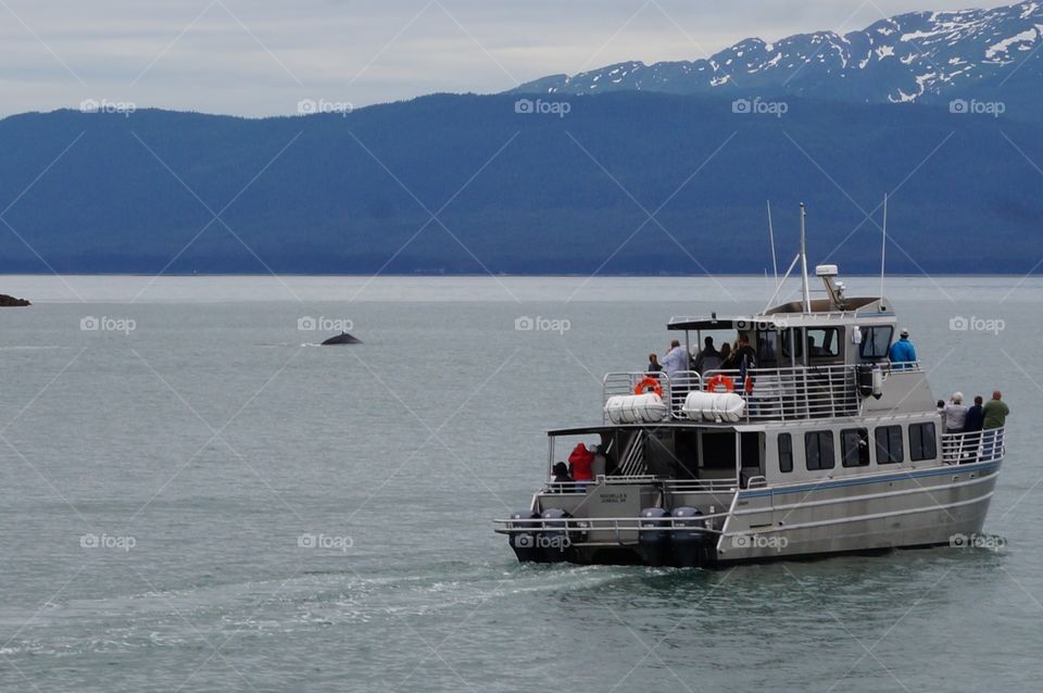 Group of tourist on a whale watching boat tour, with a whale visible in the water