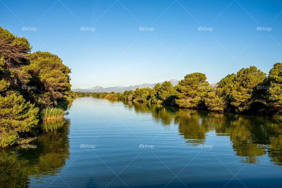 S’Albufera Natural Park lagoon, Majorca, Balearic Islands, Spain