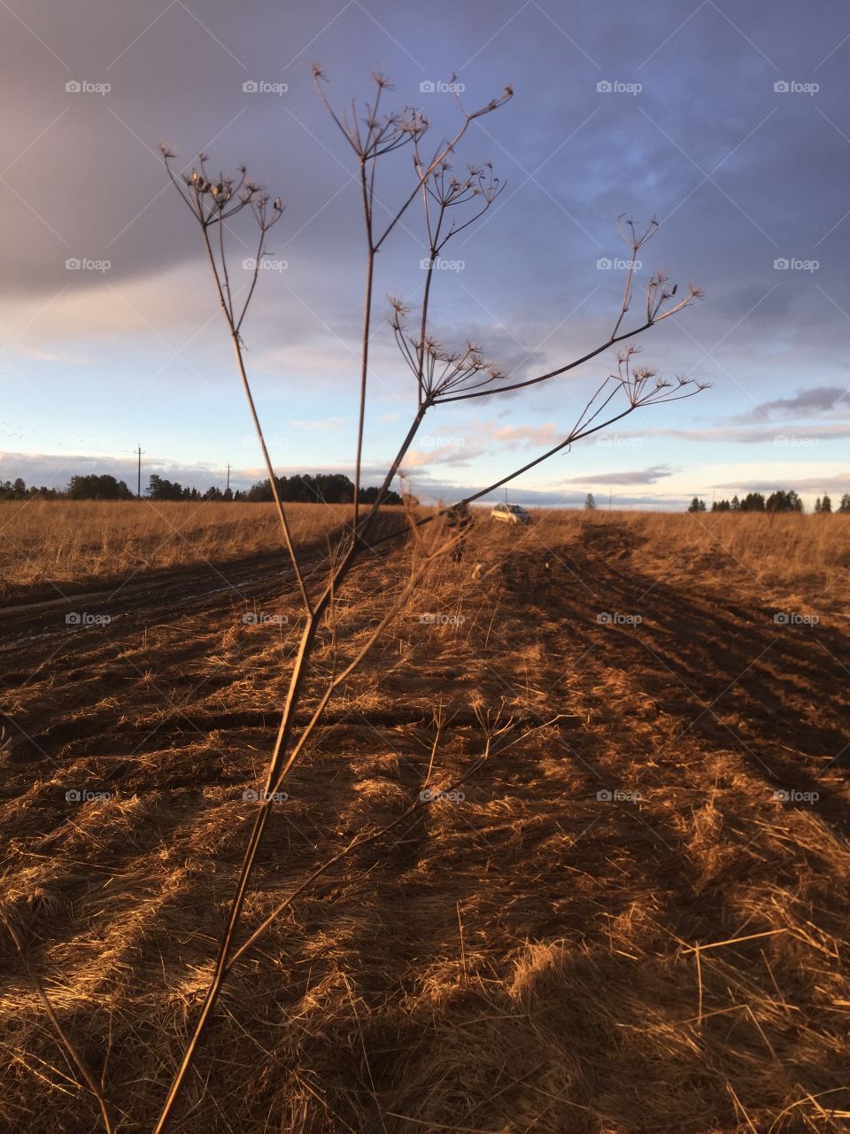 Россия, весенние дороги в поле