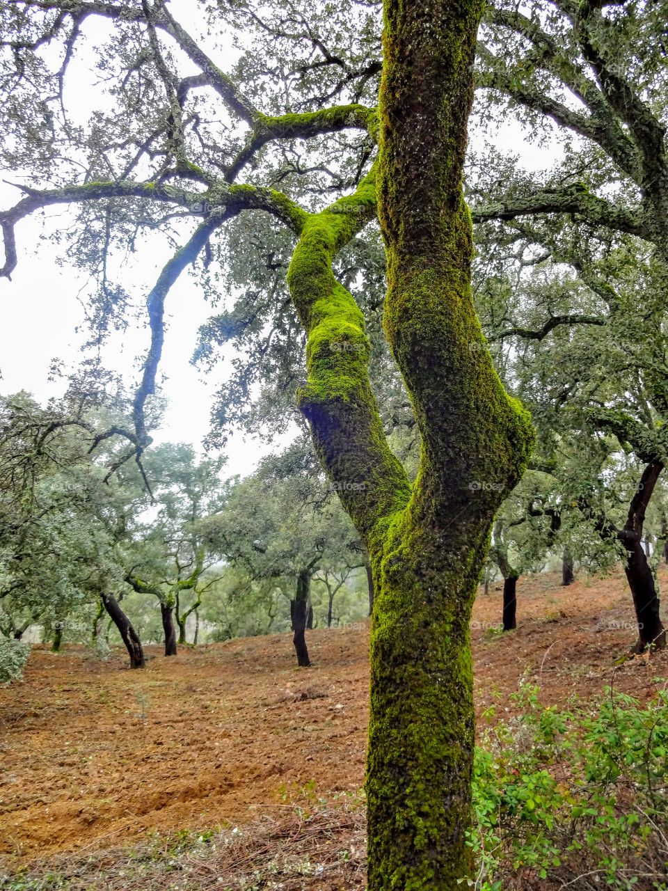 Hiking outside Sevilla, Spain