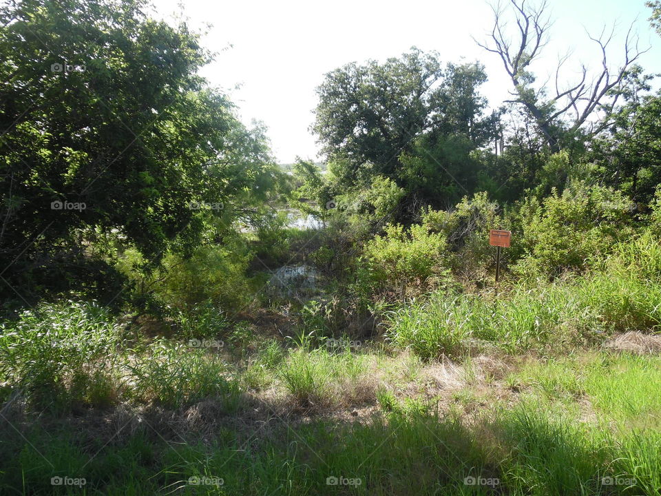 Graham Texas Lake. This is a picture of the lake that I saw while out walking this morning. 👣 🚶 🏃 🔥 💨