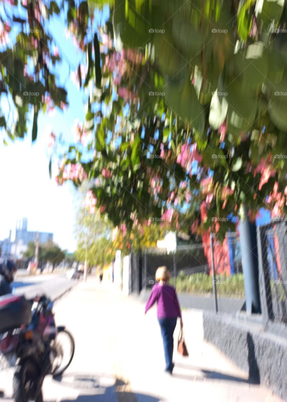 A bolsa é um acessório, que preenche  funções  essenciais  como guardar carteiras,  celulares, dinheiro,  documentos, chaves e outros pertences pessoais. As bolsas surgiram com o propósito  de trazer praticidade para o dia a dia daqueles que a usam