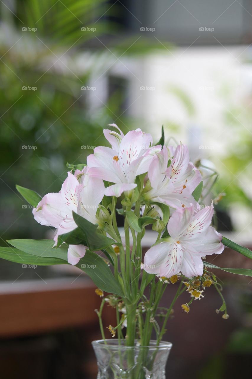 Vase flowers