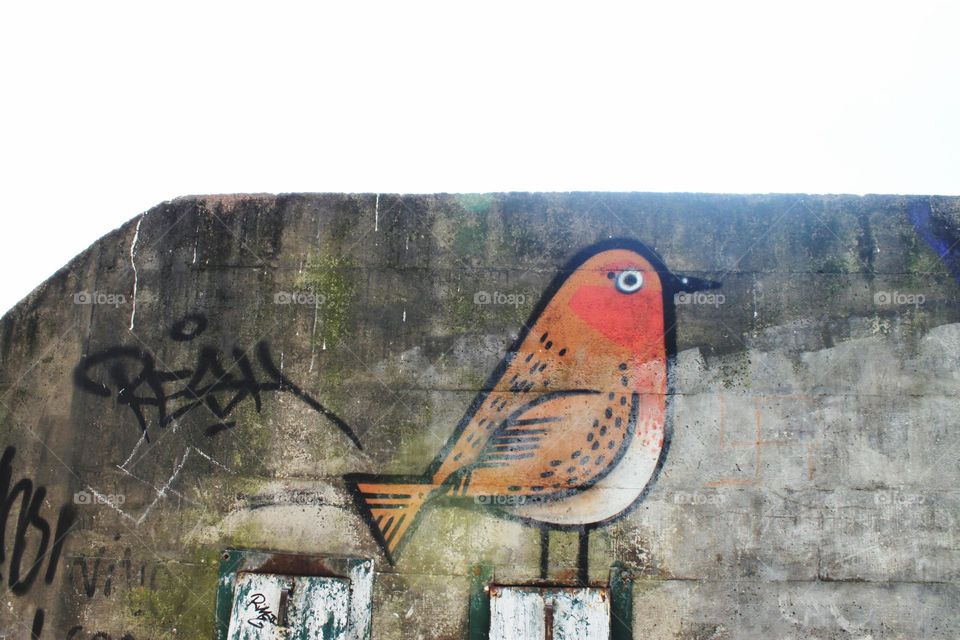 Bird Graffiti street art in Portugal 