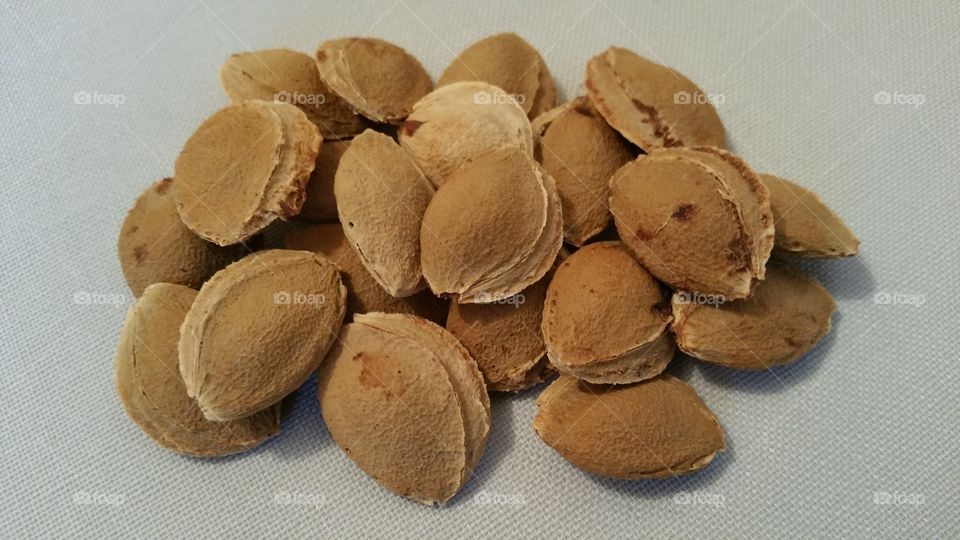 Seeds of apricot