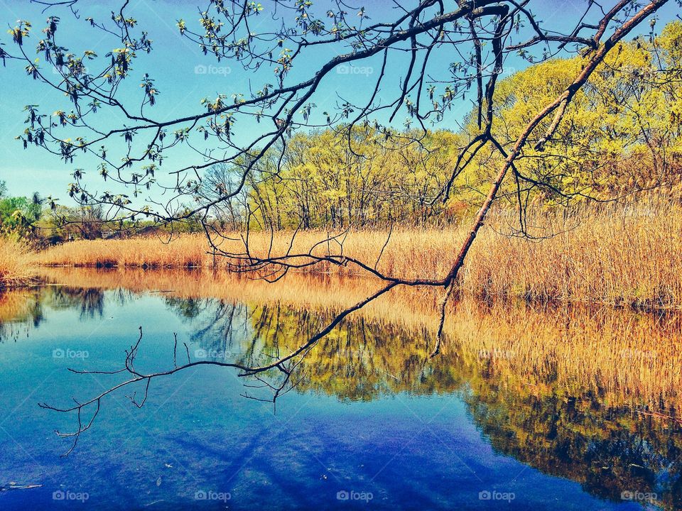 Indian River, Milford CT. Indian River, Milford CT