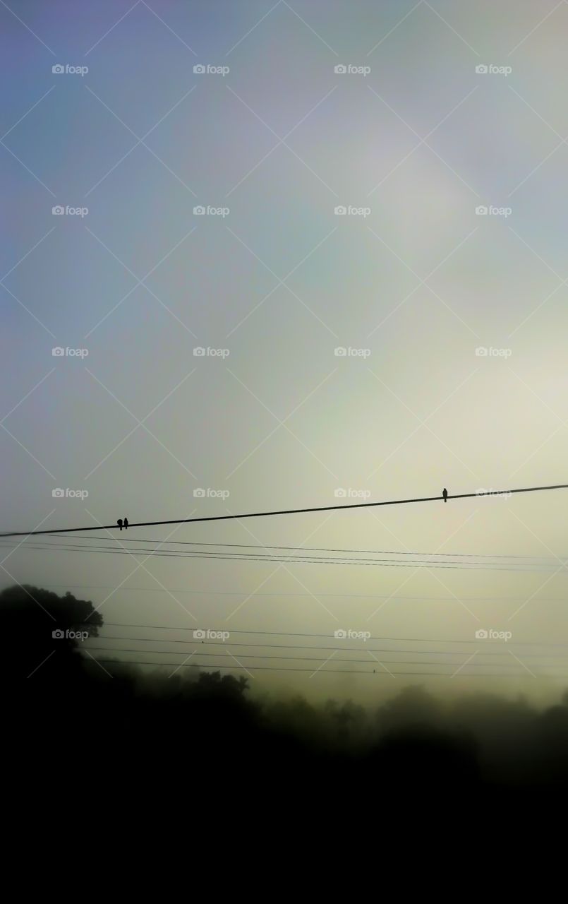 wallpaper evening click