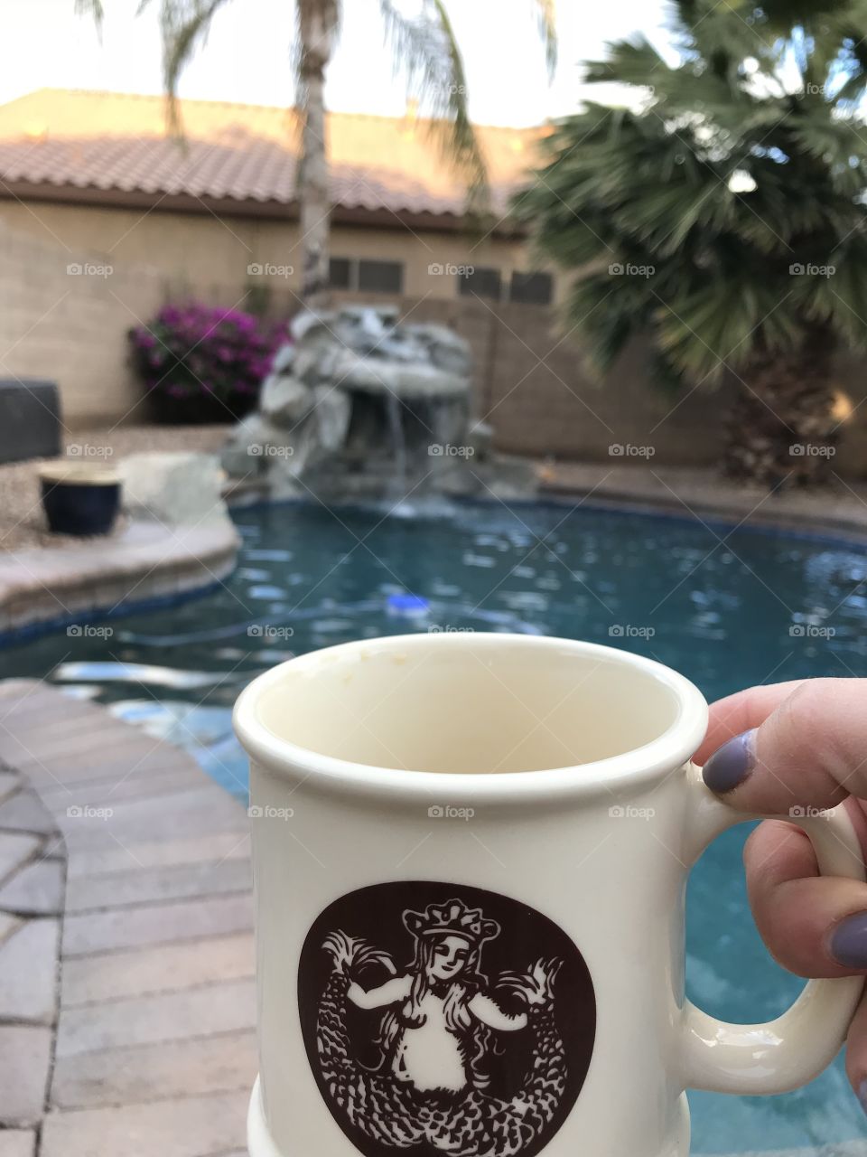 Morning coffee, poolside.