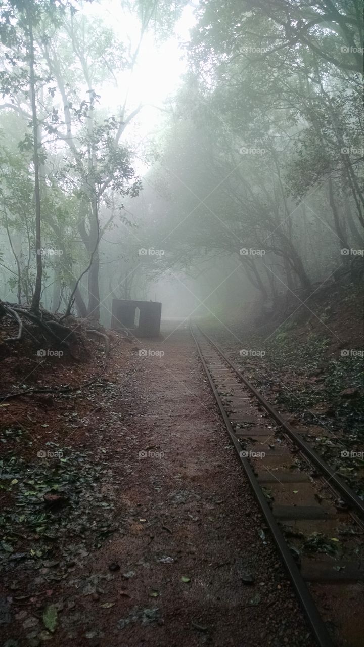 Foggy Morning at Matheran