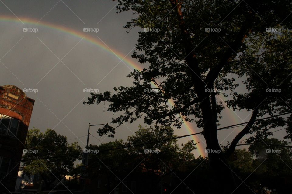 Landscape, Tree, No Person, Rainbow, Weather