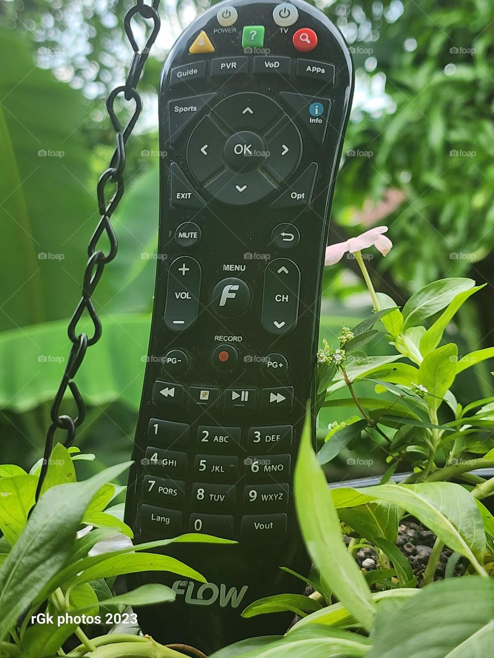 interior remote