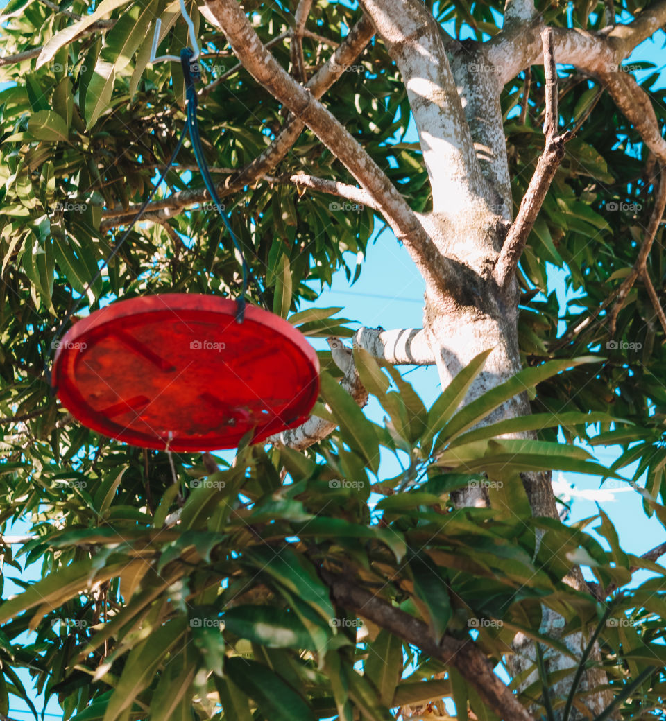 Here at home I receive many visits from birds, so I put this feeder for them and I am always cleaning