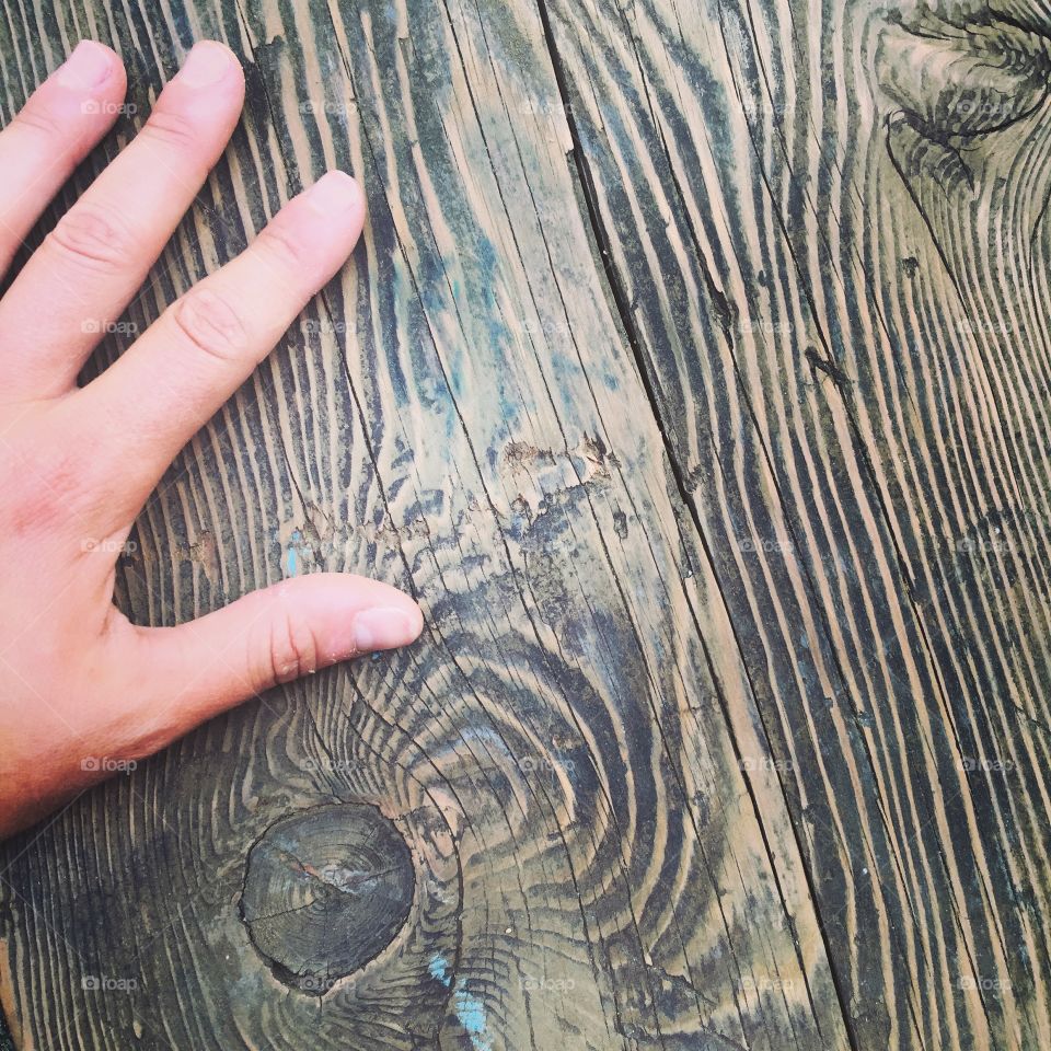 Nature, Desktop, Hand, Woman, People