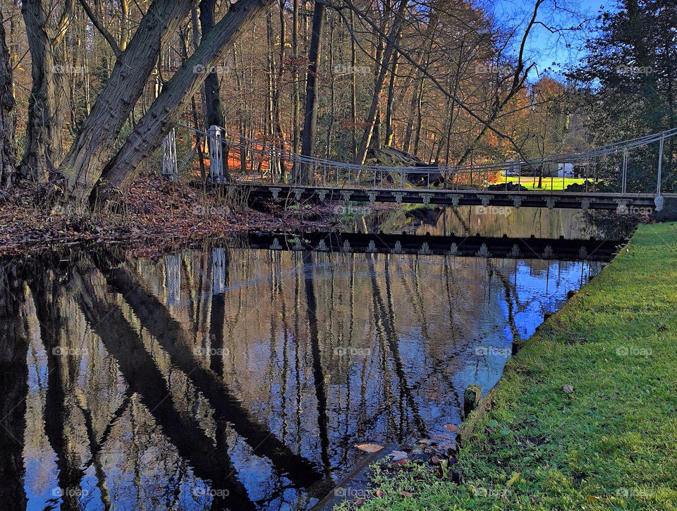 arnhem tree trees water by vienesse