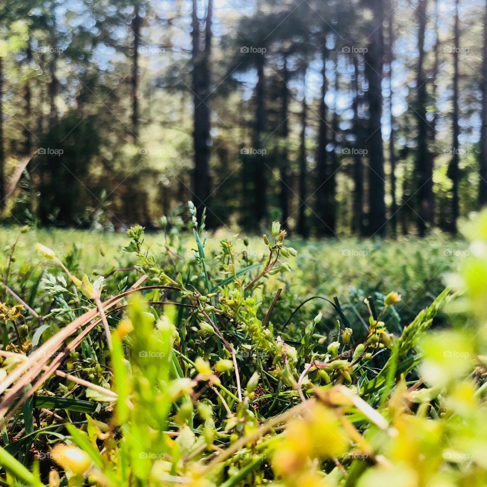 Outside on a sunny day