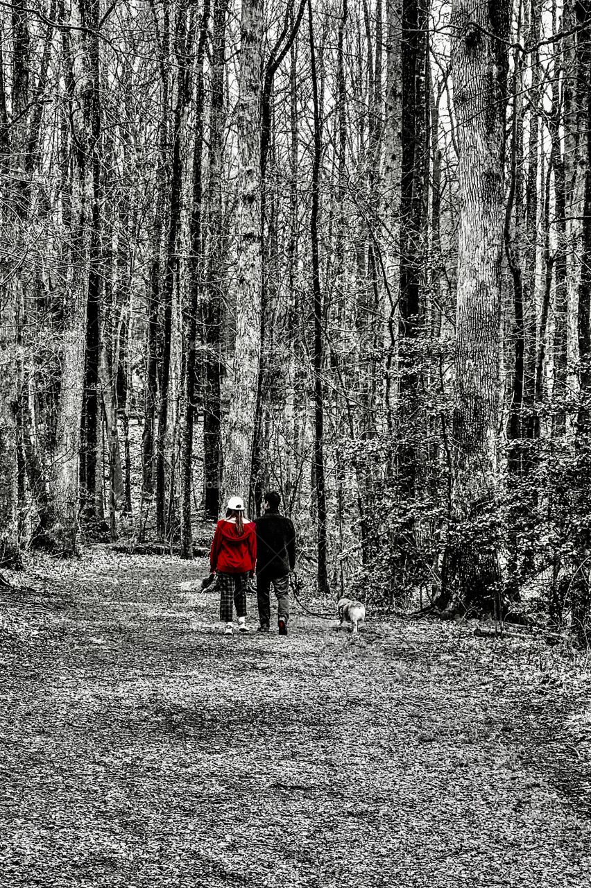 A couple walking their dog