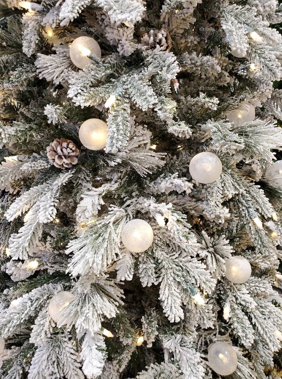 Christmas Tree of Snow and Lights
