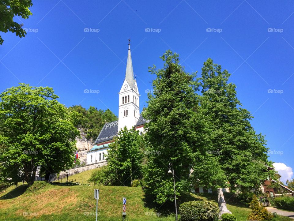 No Person, Architecture, Tree, Outdoors, Church