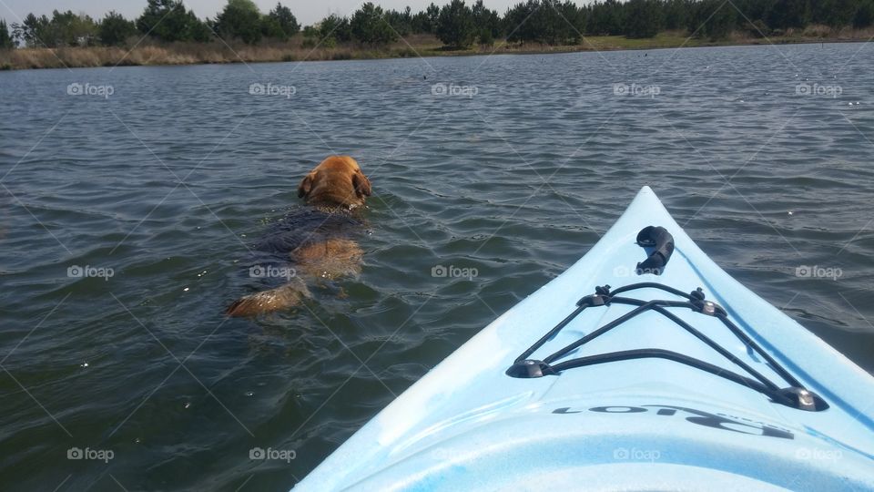 Dog Fish. kayaking with my dog