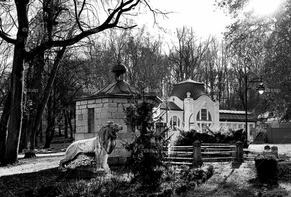 srbija bukovicka banja