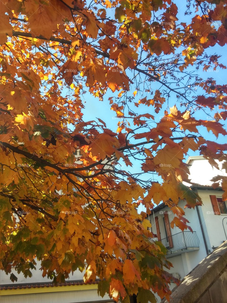 Autumn is here
