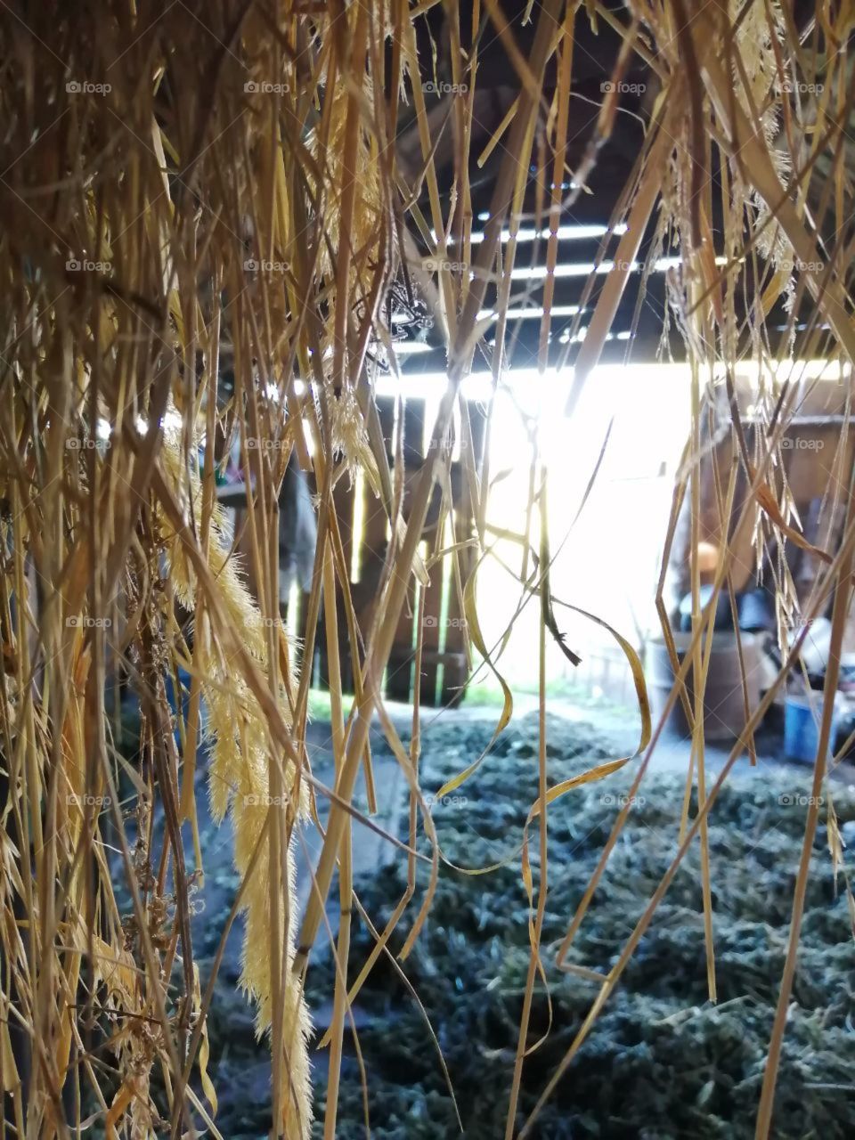 Hay and straw in the shed against the backdrop of the open gate