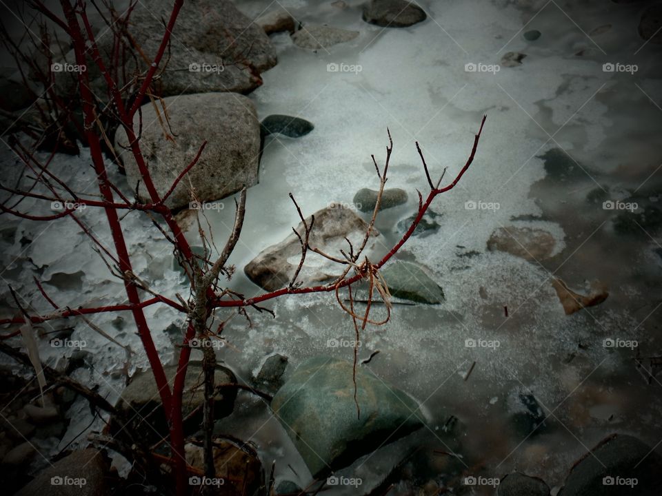 Northern Michigan 