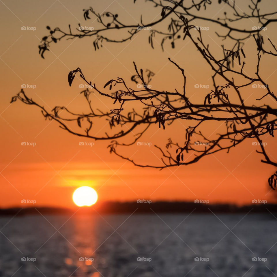 Photography Of A Winter Sunset View Near Brahmaputra River